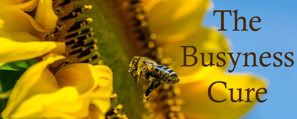 Busy bee